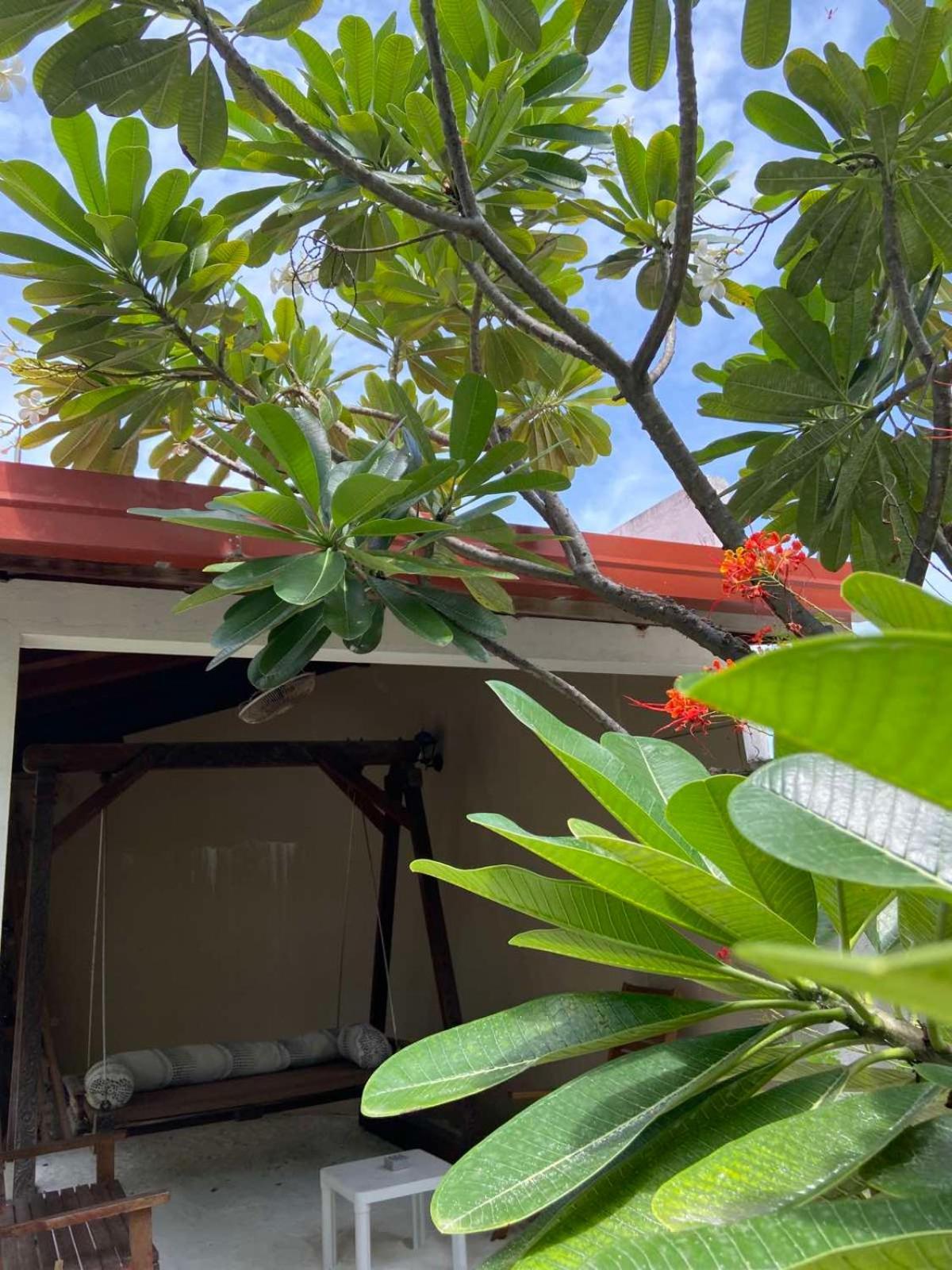 Cerulean View Residence Hanimaadhoo Island Buitenkant foto