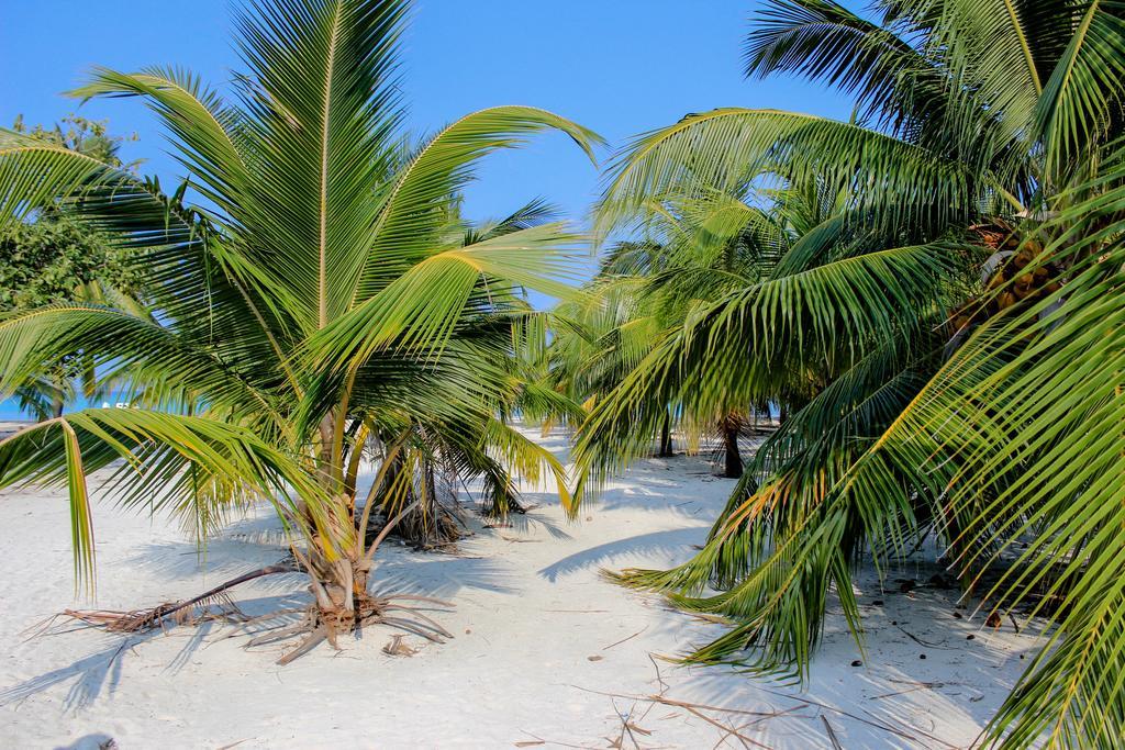 Cerulean View Residence Hanimaadhoo Island Buitenkant foto
